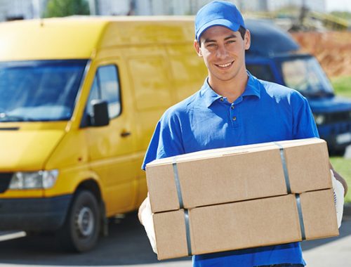 domestic-courier